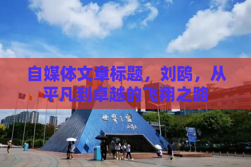 自媒体文章标题，刘鸥，从平凡到卓越的飞翔之路