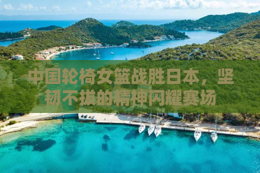 中国轮椅女篮战胜日本，坚韧不拔的精神闪耀赛场