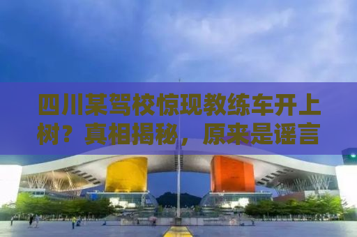 四川某驾校惊现教练车开上树？真相揭秘，原来是谣言！