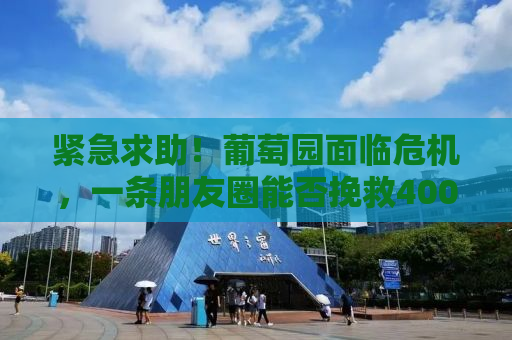 紧急求助！葡萄园面临危机，一条朋友圈能否挽救400亩葡萄的未来？